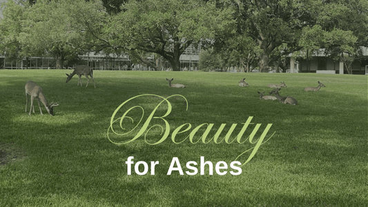 Beauty for Ashes - 2FruitBearers