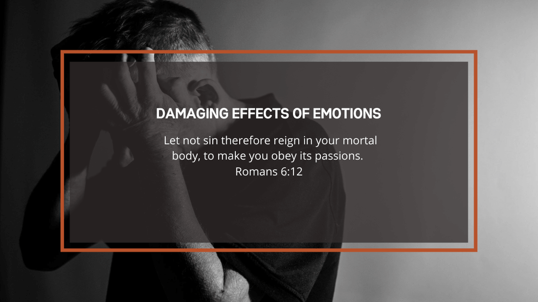 Damaging Effects of Emotions - 2FruitBearers