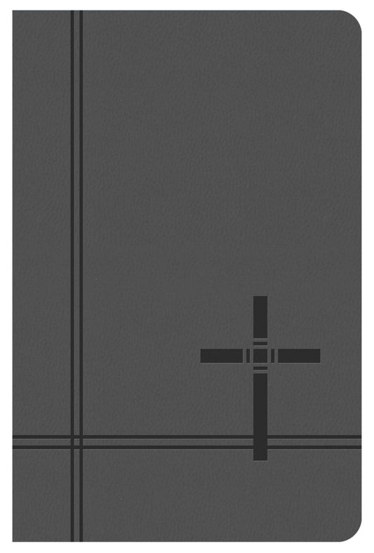 KJV Deluxe Gift & Award Bible (Gray) | 2FruitBearers