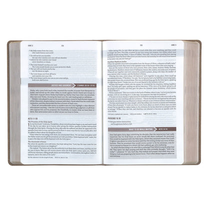 Tan Faux Leather NLT Everyday Devotional Bible for Men | Bibles | 5