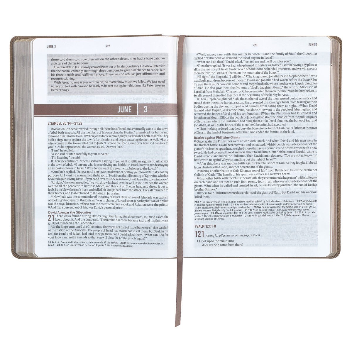 Tan Faux Leather NLT Everyday Devotional Bible for Men | Bibles | 4