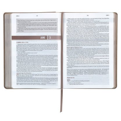 Tan Faux Leather NLT Everyday Devotional Bible for Men | Bibles | 4