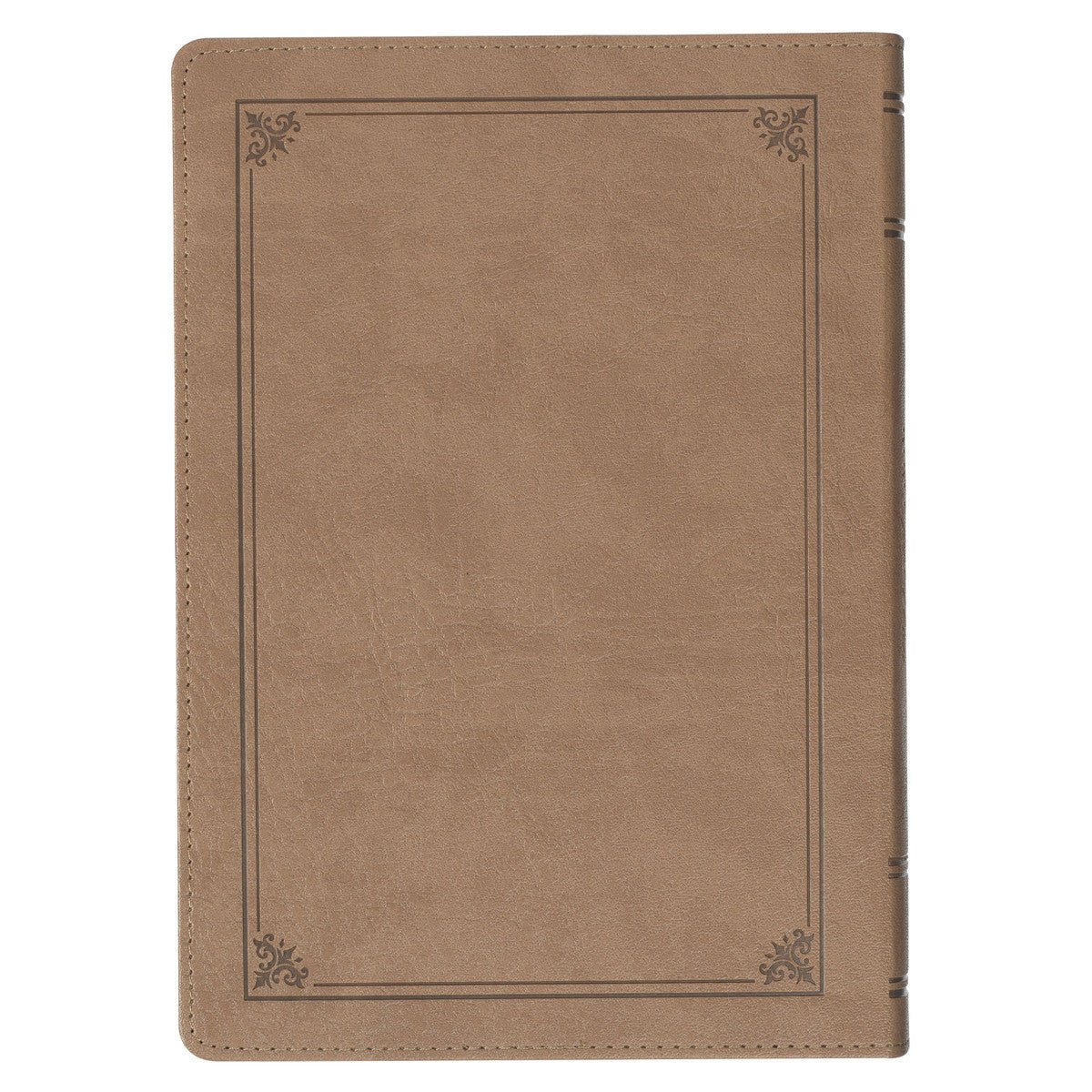 Tan Faux Leather NLT Everyday Devotional Bible for Men | Bibles | 2