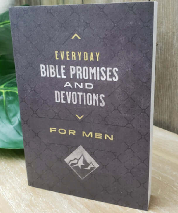 Everyday Bible Promises And Devotions For Men