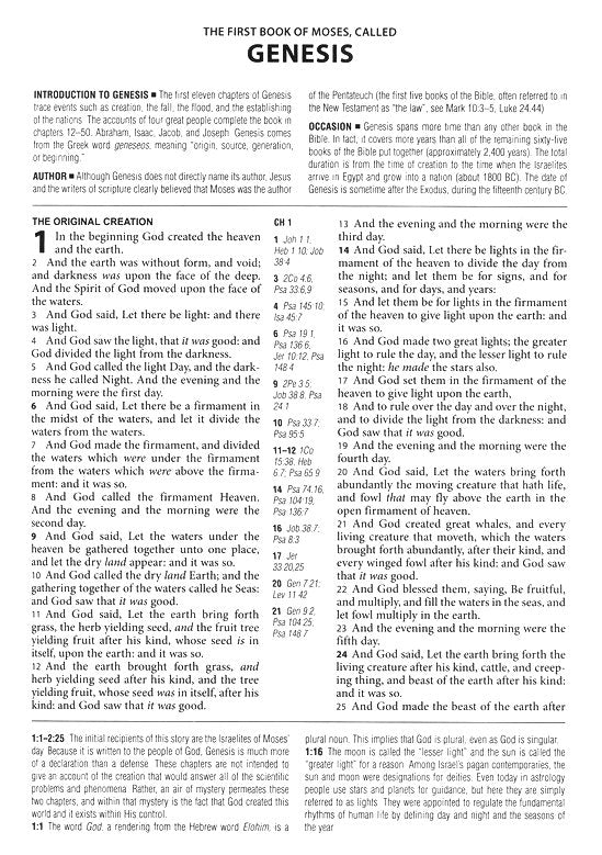 KJV Cross Reference Study Bible—Sage Songbird | 2FruitBearers