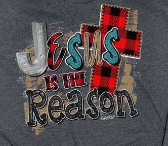 Jesus Is The Reason T-Shirt
