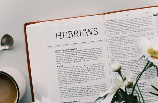 The Holy Bible: SKJV [Chestnut Floral] | 2FruitBearers