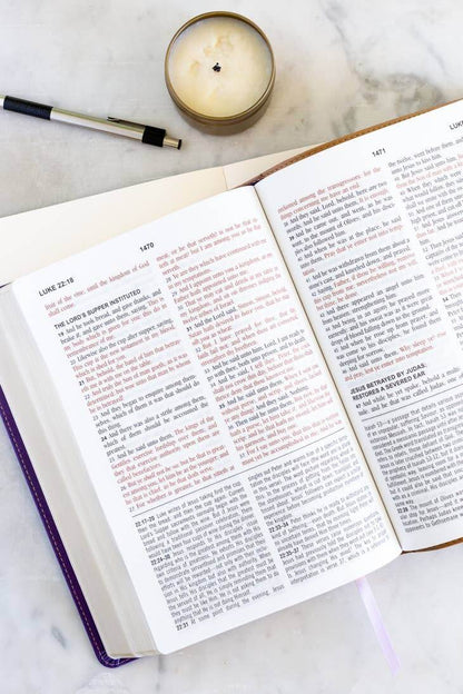 The KJV Study Bible - Large Print | 2FruitBearers