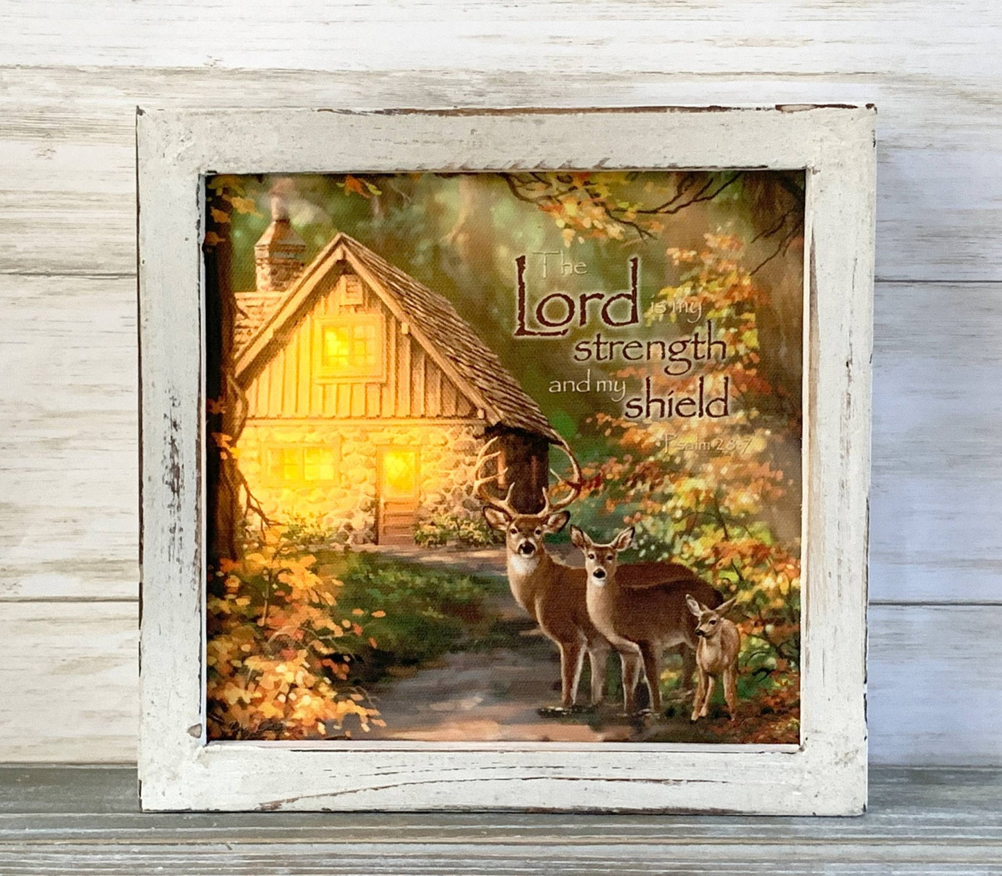 The Lord is My Strength Lighted Shadow Box | 2FruitBearers