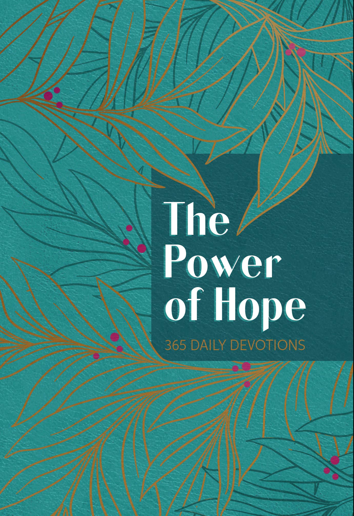 The Power of Hope 365 Daily Devotional | 2FruitBearers